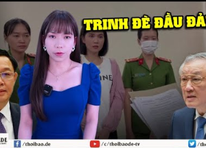 Vụ Ngọc Trinh Nguyên tắc mọi người bình đẳng trước pháp luật đã bị phá vỡ